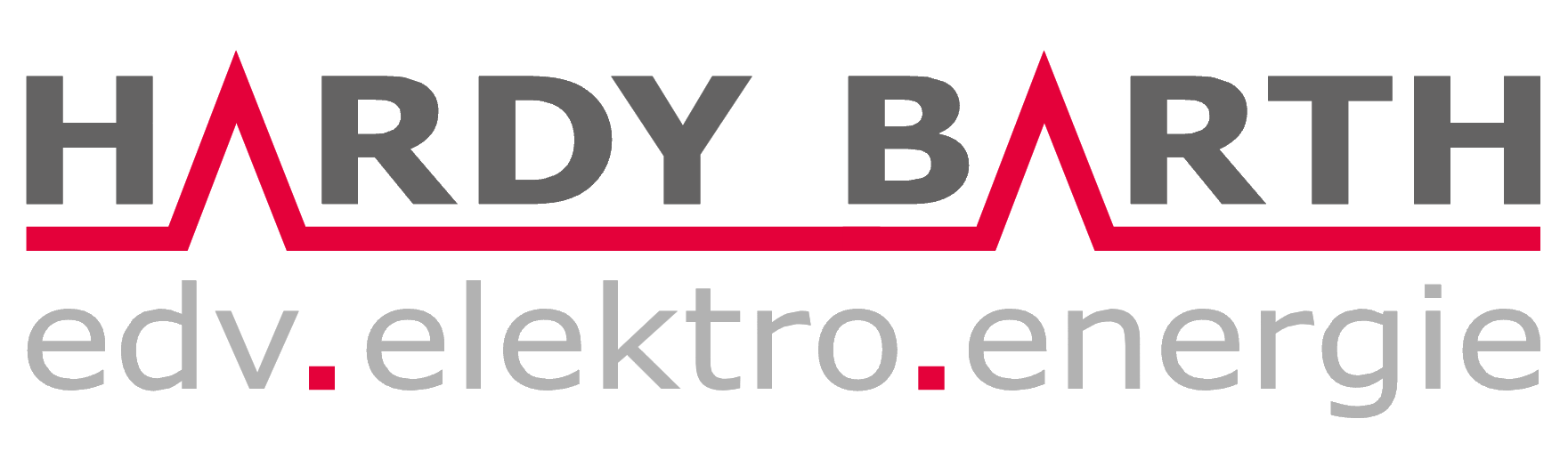 Hardy Barth: EDV, Elektro, Energie.