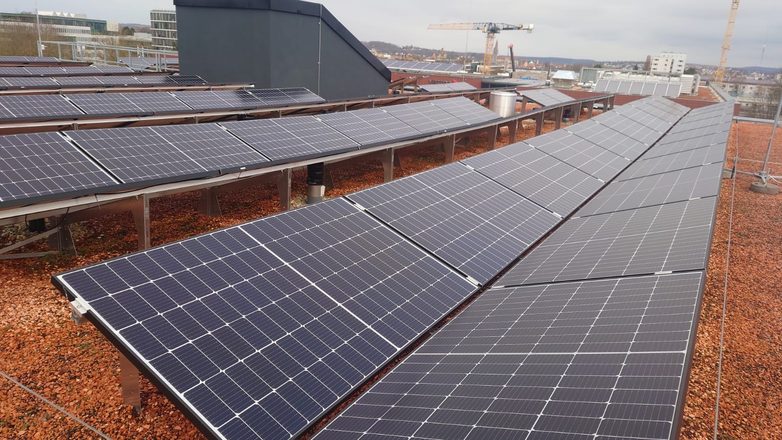 Photovoltaik auf einem begrünten Flachdach eines Neubaus in Bayern